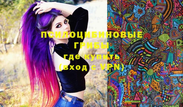 гидра Козловка