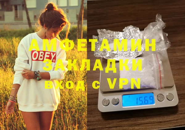 прущие грибы Козельск