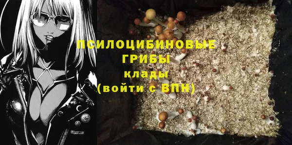 гидра Козловка