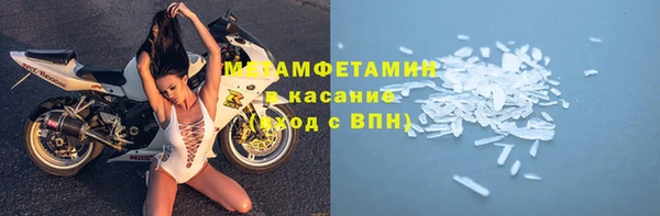 прущие грибы Козельск