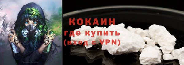 прущие грибы Козельск