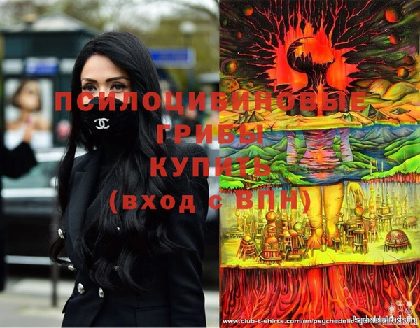 кокс Кодинск