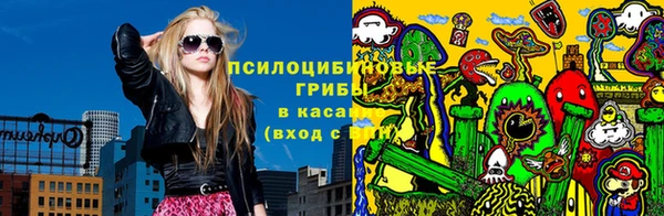прущие грибы Козельск