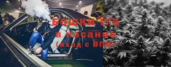 прущие грибы Козельск
