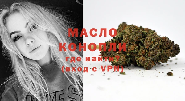 гидра Козловка