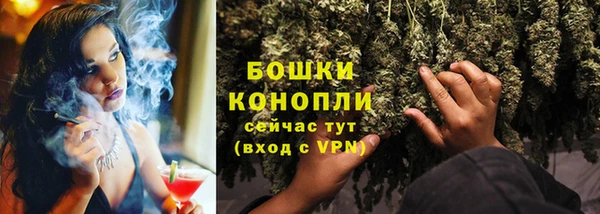 прущие грибы Козельск