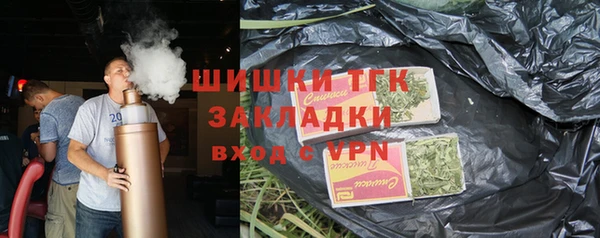 гидра Козловка
