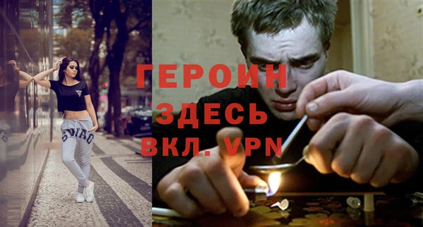 гидра Козловка