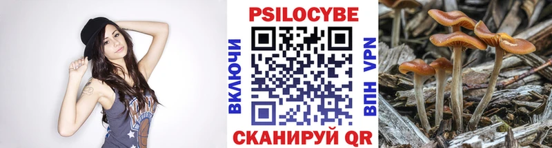 Купить закладки  Переславль-Залесский  Псилоцибиновые грибы мицелий 